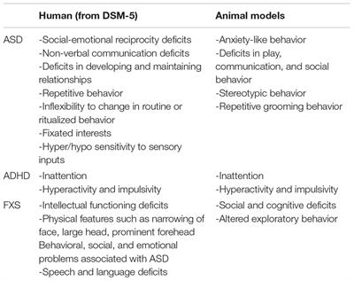 Enriched Environments as a Potential Treatment for Developmental Disorders: A Critical Assessment